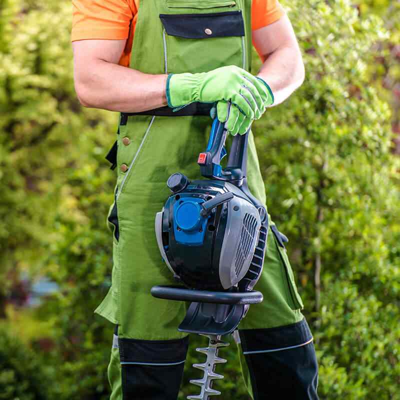 https://elite-cls.com/wp-content/uploads/2019/08/home_4_services.jpg